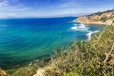 Sandee Palos Verdes Estates Shoreline Preserve Beach Photo