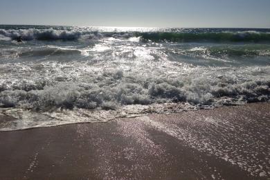 Sandee Redondo Beach Pier Photo