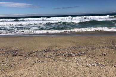 Sandee - Torrance County Beach