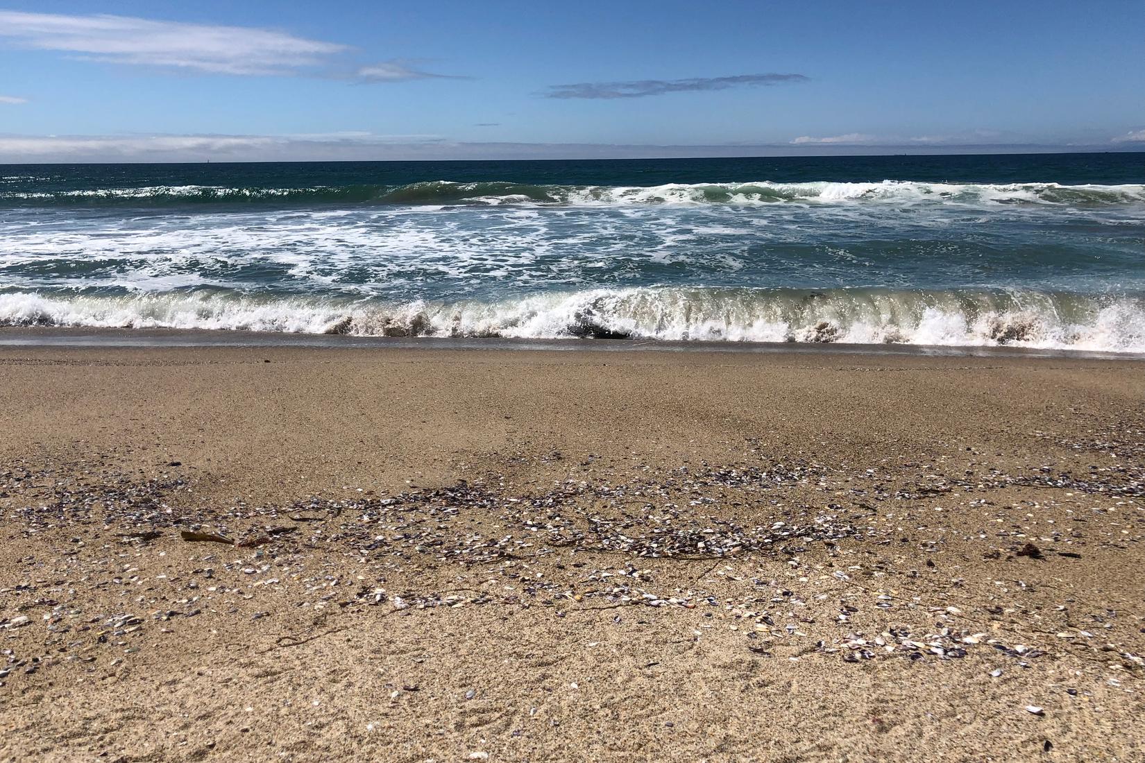 Sandee - Torrance County Beach