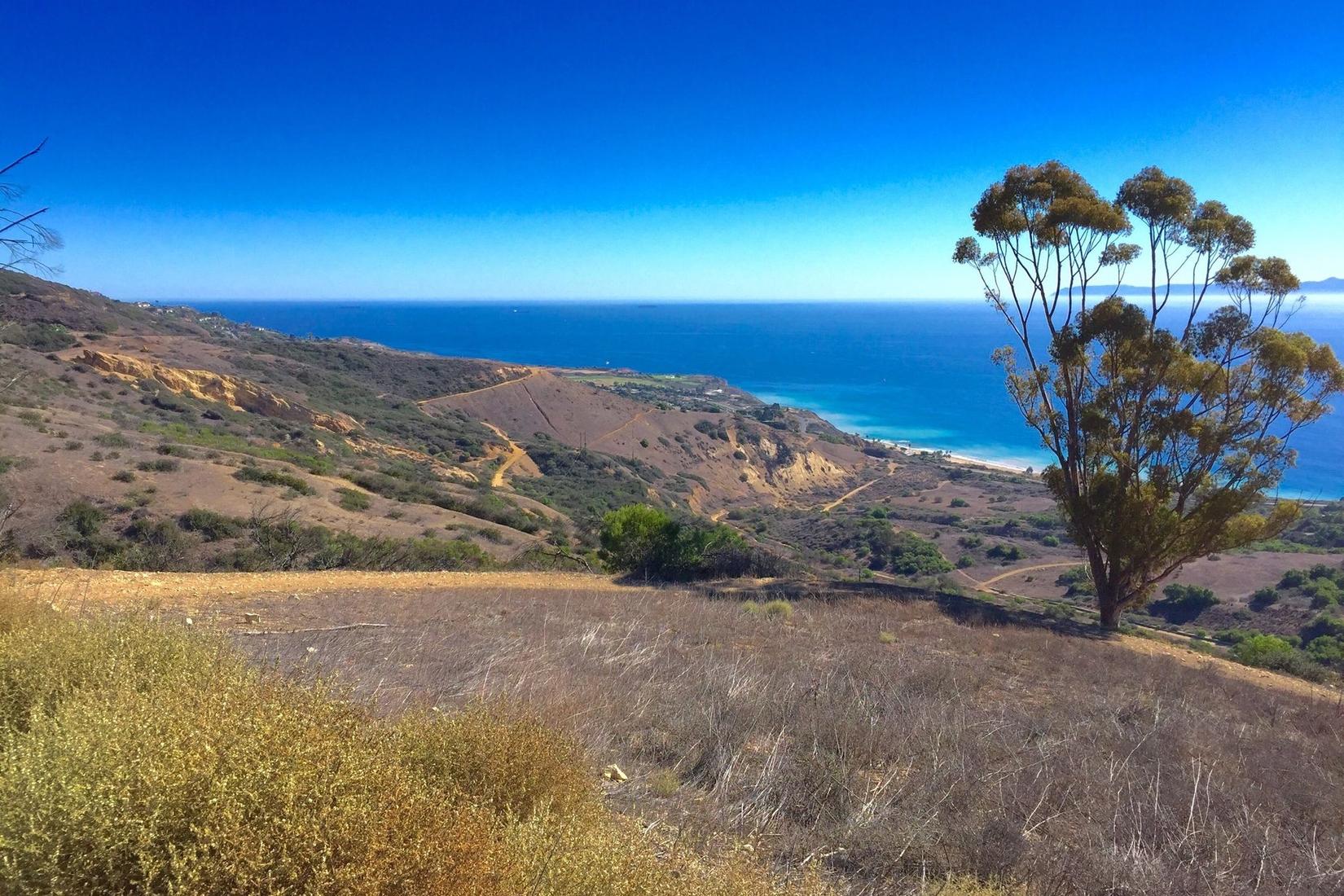 Sandee - Portuguese Bend Cove Beach