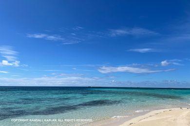 Sandee - North Cat Cay Beach