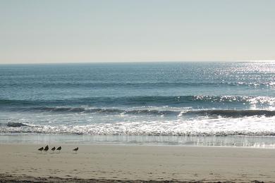 Sandee Jg Island Beach Photo