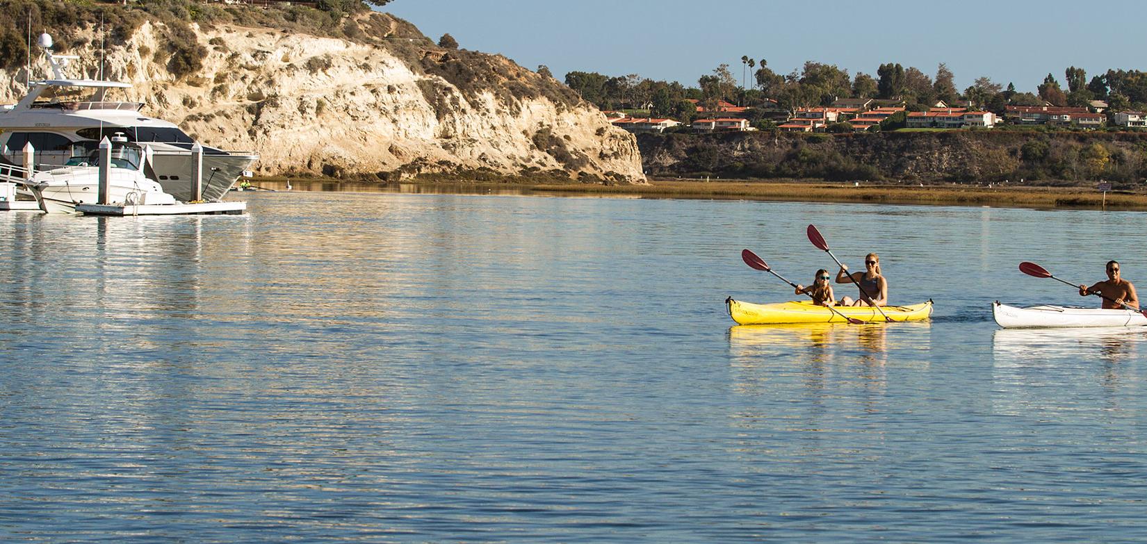 Sandee - Upper Newport Bay