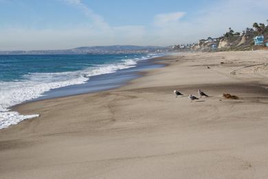 Sandee - Lost Winds Beach