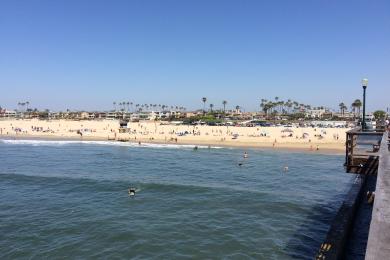 Sandee Seal Beach Photo