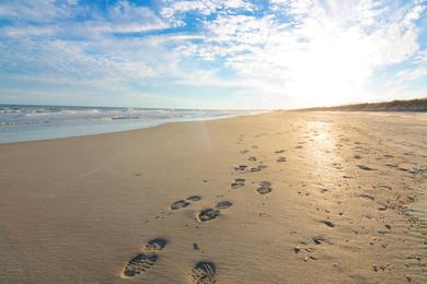 Sandee - Huntington State Beach