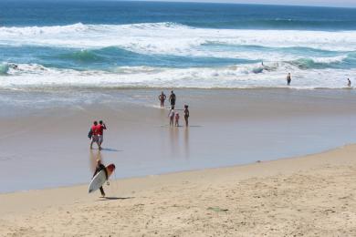 Sandee - Huntington State Beach