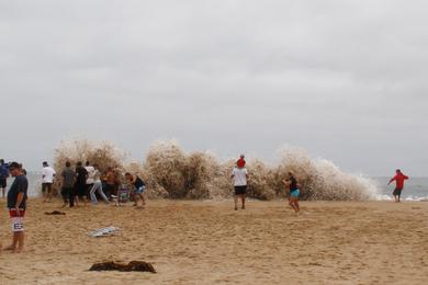 Sandee - West Jetty View Park - The Wedge