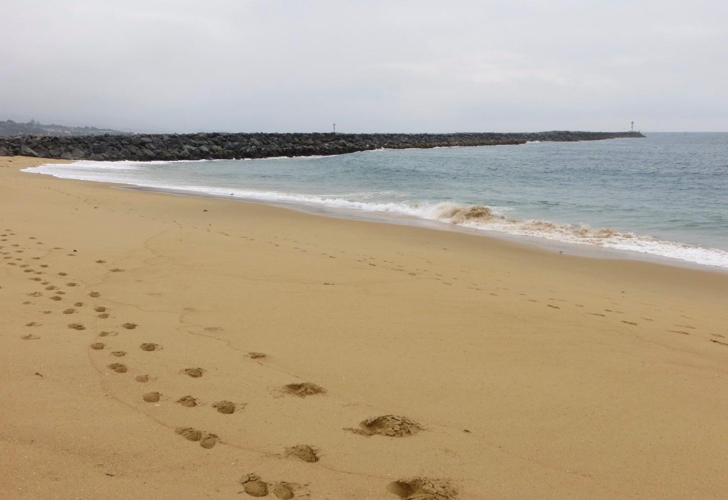 Sandee - West Jetty View Park - The Wedge