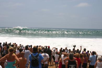 Sandee - West Jetty View Park - The Wedge