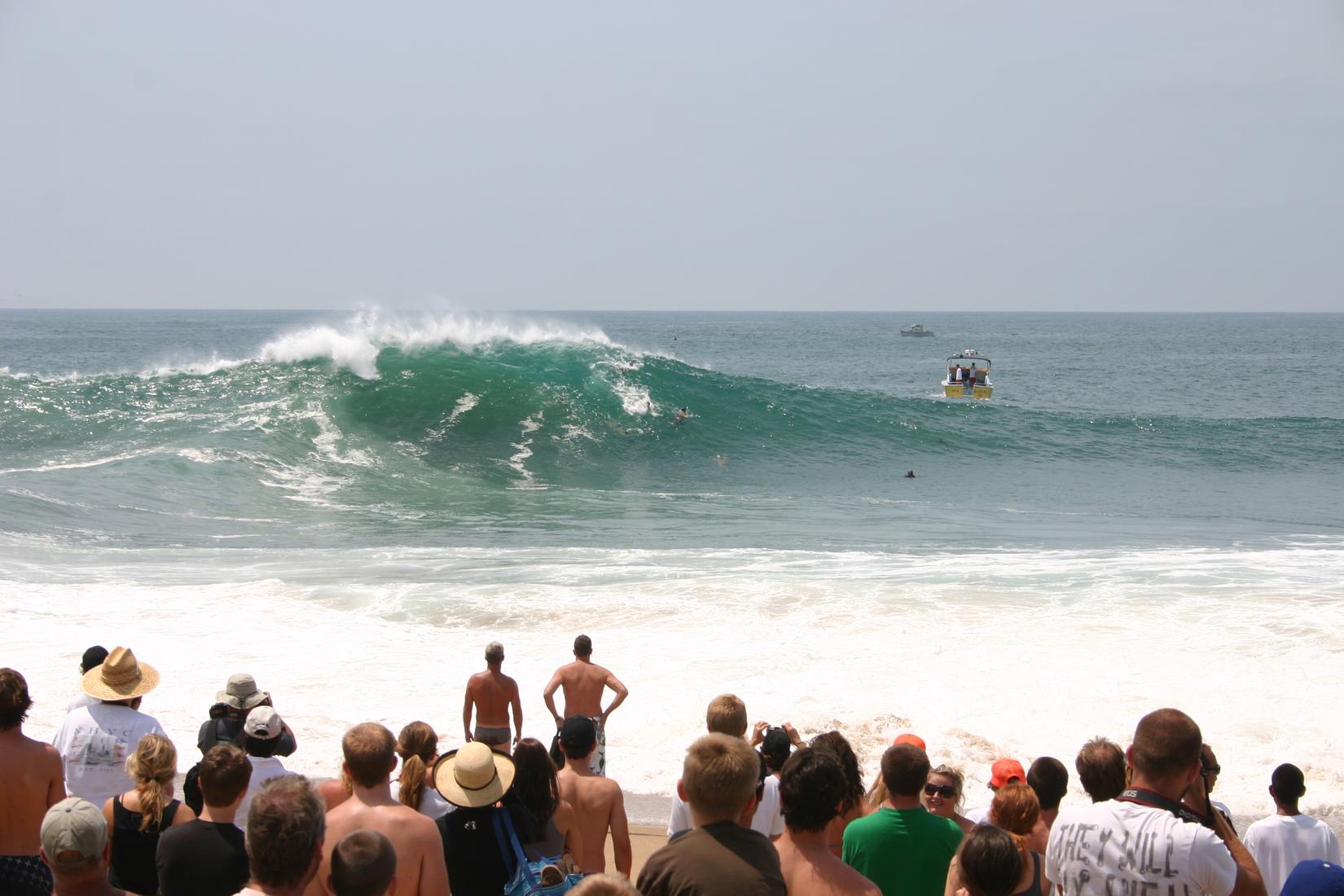 Sandee - West Jetty View Park - The Wedge