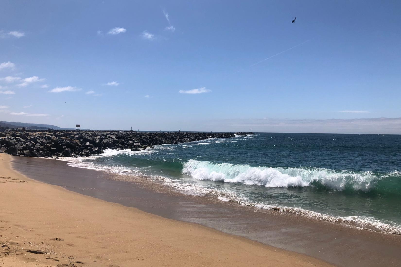 Sandee - West Jetty View Park - The Wedge