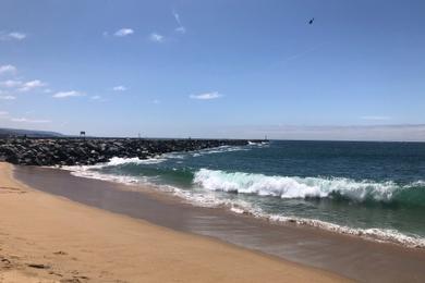 Sandee - West Jetty View Park - The Wedge