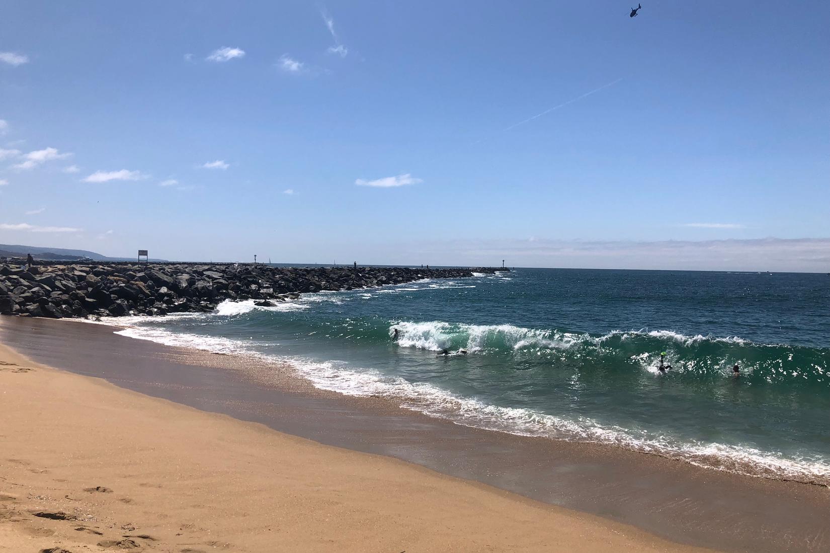 Sandee - West Jetty View Park - The Wedge