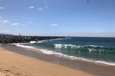 Sandee - West Jetty View Park - The Wedge