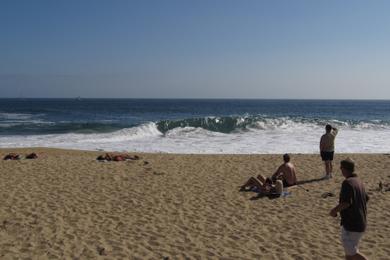 Sandee - West Jetty View Park - The Wedge