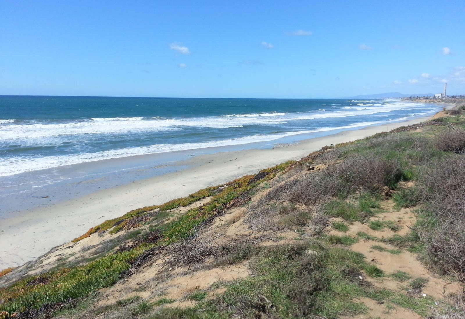 Sandee - South Carlsbad State Beach