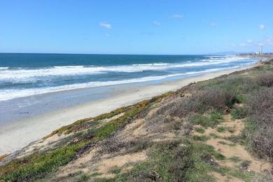 Sandee - South Carlsbad State Beach