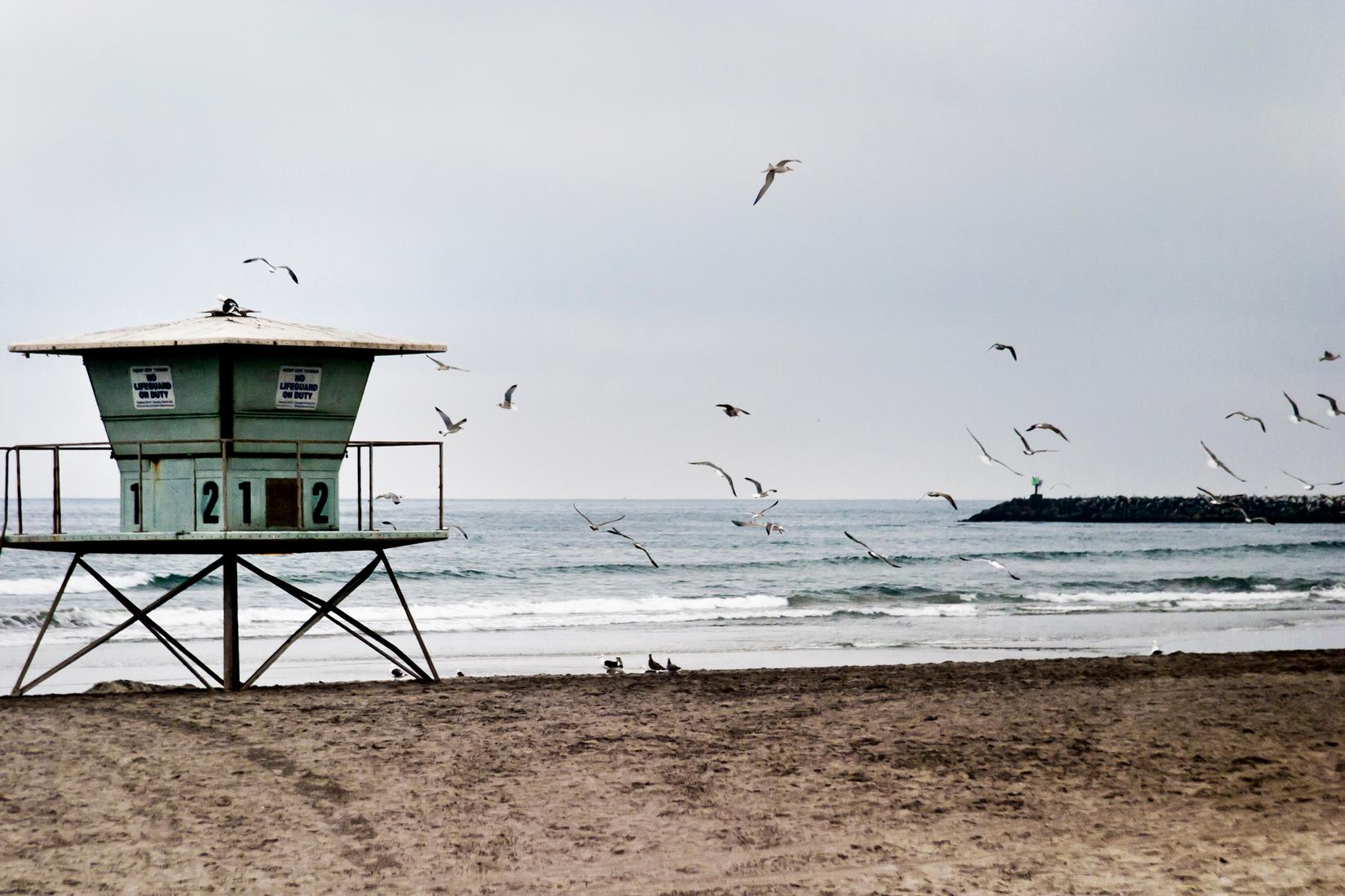 Sandee - Oceanside Harbor Beach