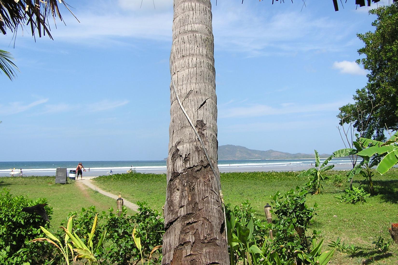 Sandee - Playa Tamarindo