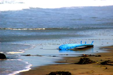 Sandee - Grandview Beach