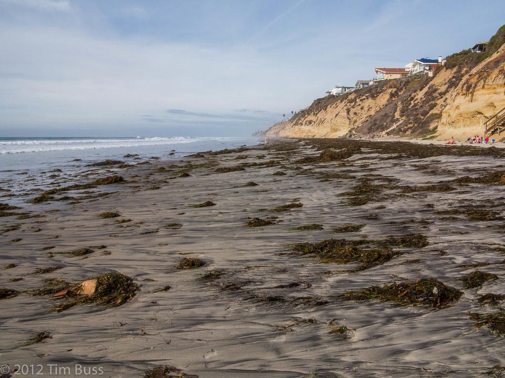 Sandee - Moonlight State Beach