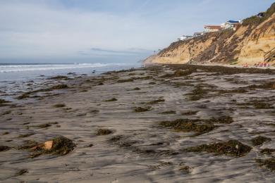 Sandee - Moonlight State Beach