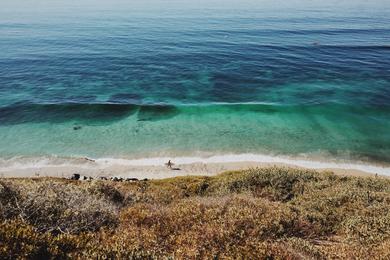 Sandee - Moonlight State Beach