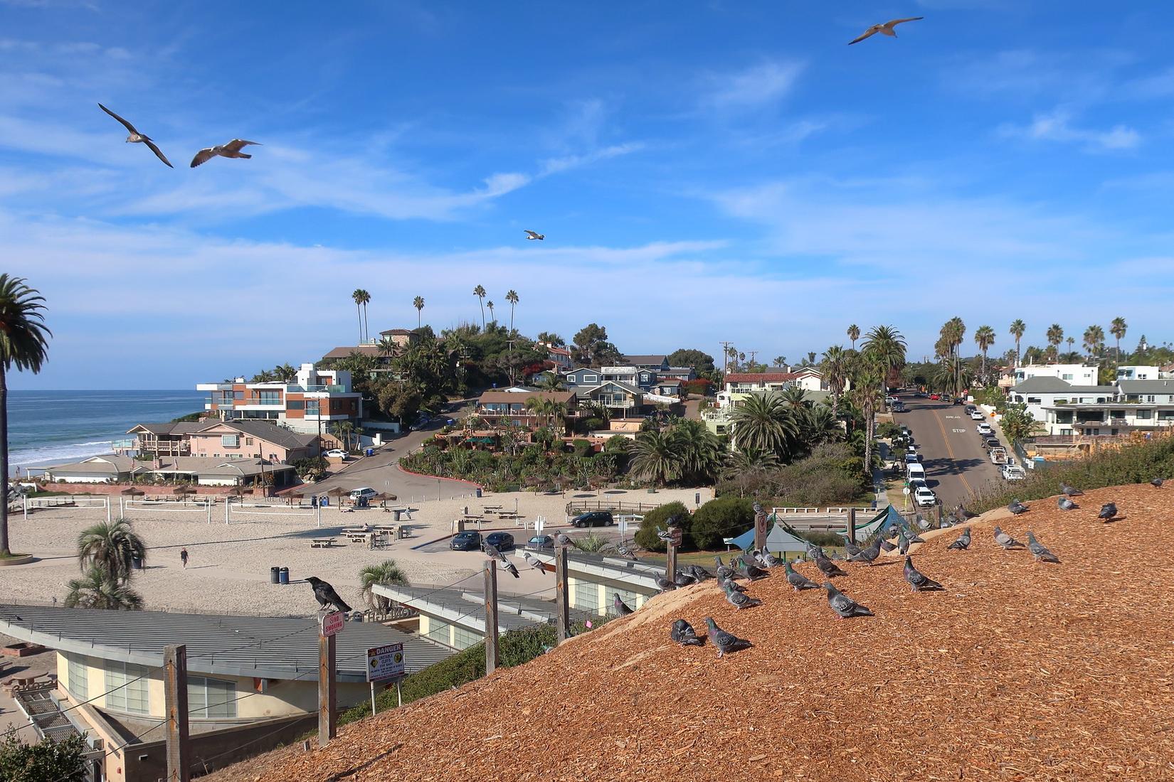 Sandee - Moonlight State Beach