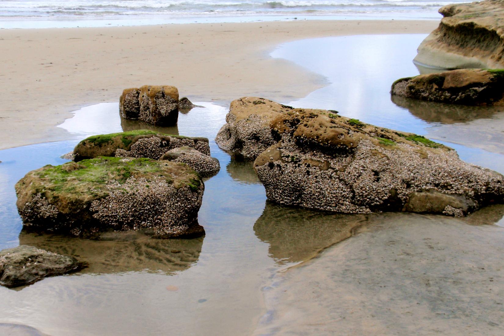 Sandee - San Elijo State Beach