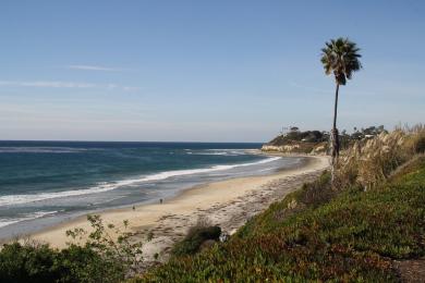 Sandee San Elijo State Beach