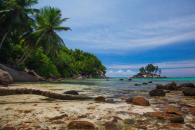 Sandee - Anse Royale Beach