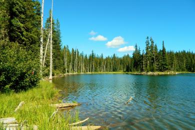 Sandee Horseshoe Lake Photo