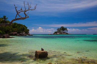 Sandee - Anse Royale Beach