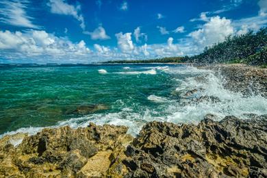 Sandee Turtle Bay Photo