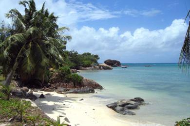 Sandee Anse Bateau