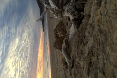 Sandee - El Capitan State Beach