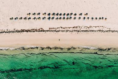 Sandee Best Beaches in Tunisia 