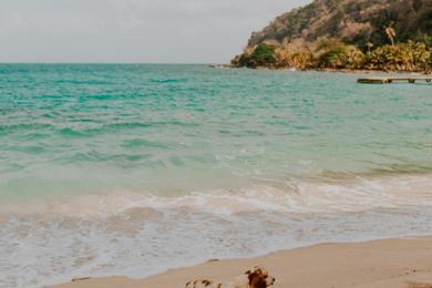 Sandee Best Dog Beaches in Malawi
