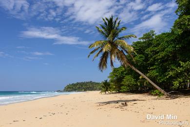 Sandee Best Dog Beaches in the Caribbean Netherlands