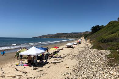 Sandee - El Capitan State Beach