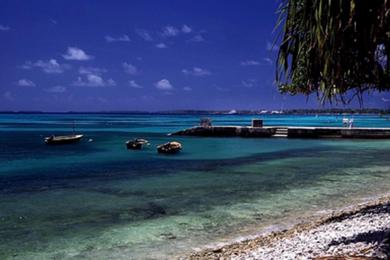 Sandee Best Dog Beaches in Tuvalu