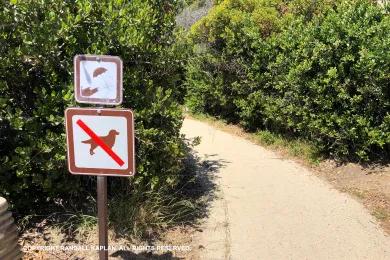 Sandee - El Capitan State Beach