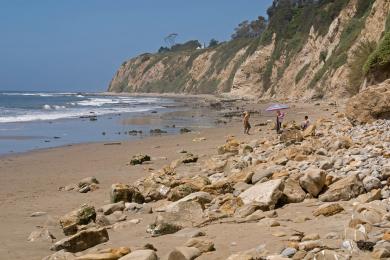 Sandee Shoreline Park Photo