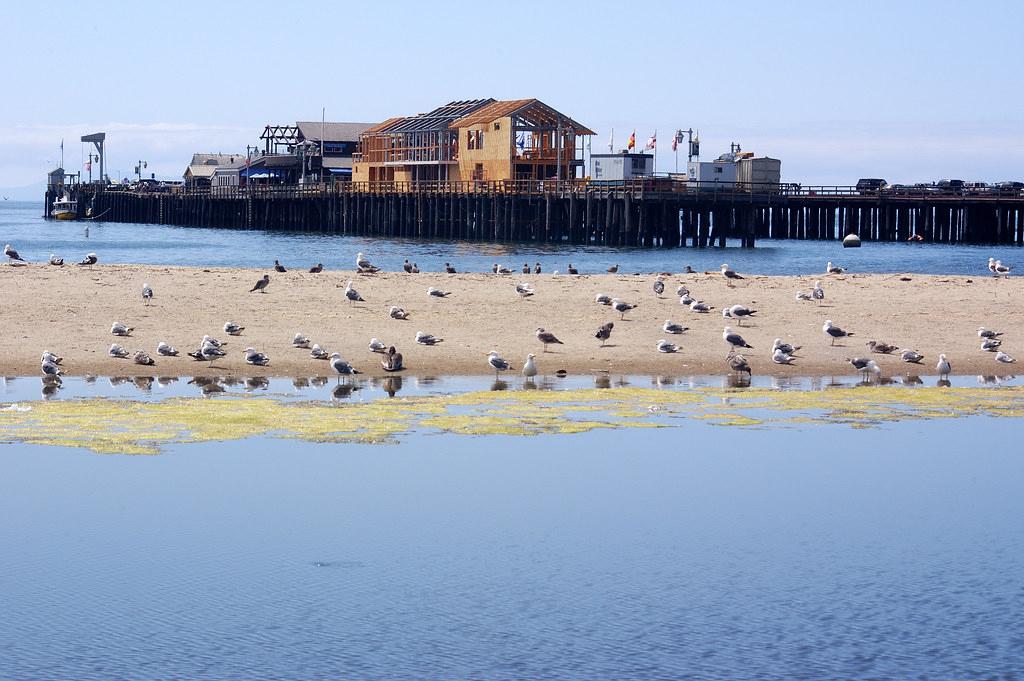 Sandee - West Beach, Stearns Wharf