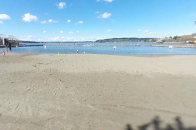 Sandee Gene Coulon Memorial Beach Park Volleyball Courts Photo