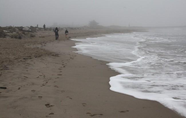 Sandee - Marina Park Beach