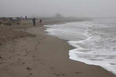 Sandee - Marina Park Beach