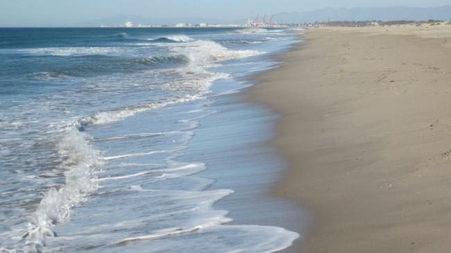 Sandee - Ormond Beach